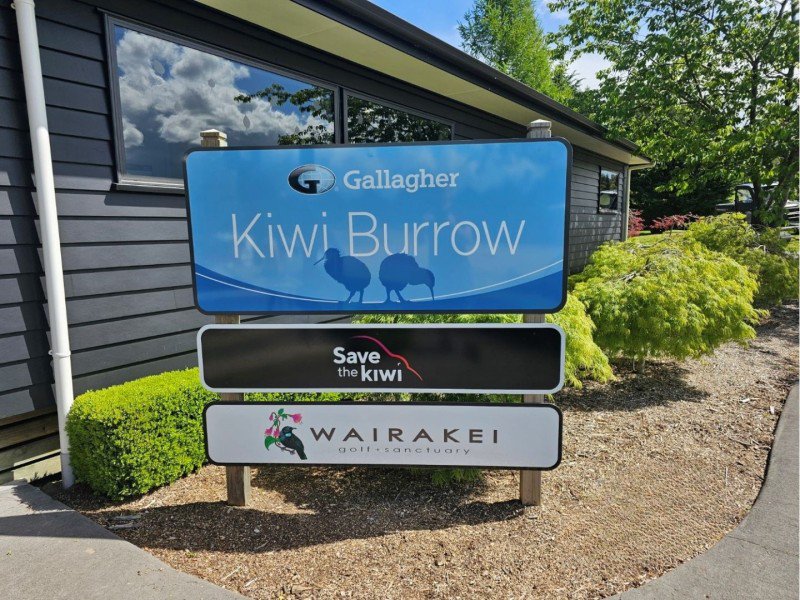 Kiwi Burrow visit